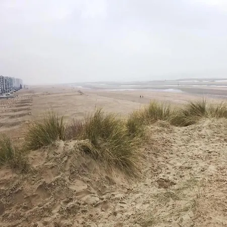 In Near The Beach, Cleaning Included Apartment *